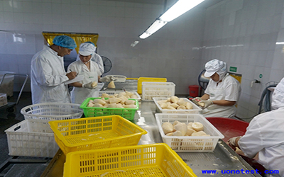 食品第三方檢測機構排名,食品第三方檢測機構資質