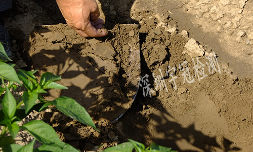 土壤檢測 土壤檢測