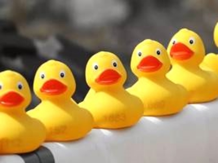 玩具增塑劑檢測