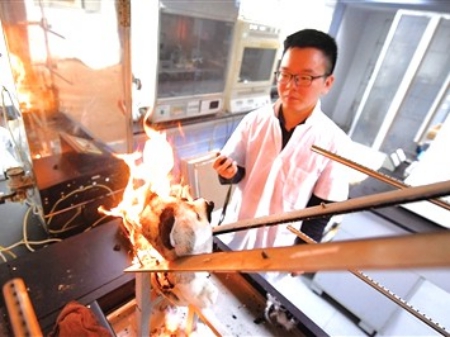 玩具易燃性檢測