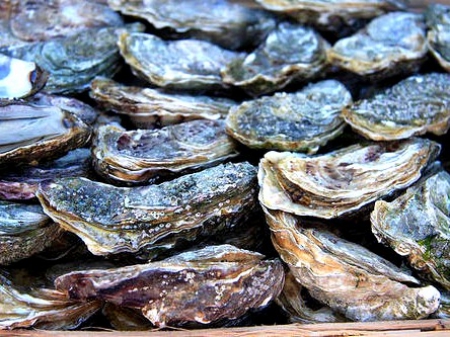 牡蠣